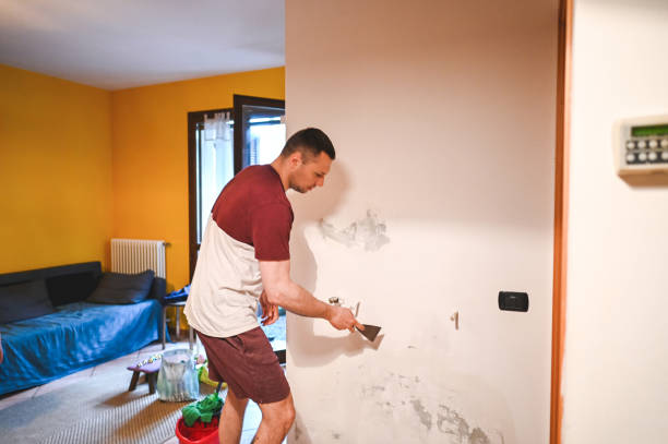 Best Industrial Mold Remediation in Vla Grove, IL
